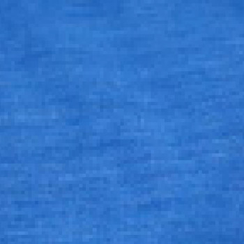 P1011 Image