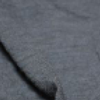 P1019 Image